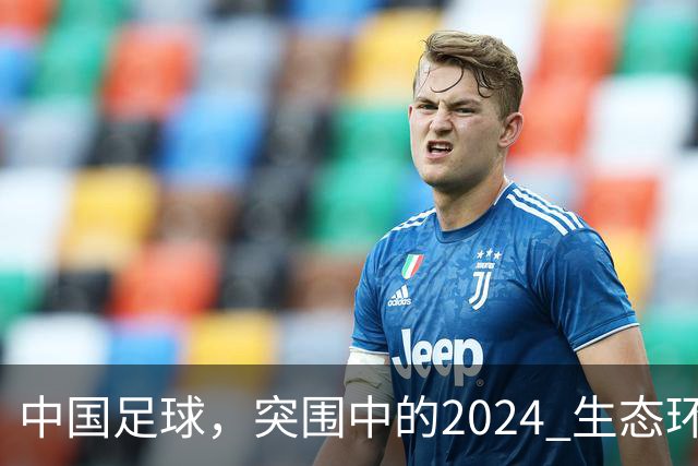 中国足球，突围中的2024 生态环境将实现好转